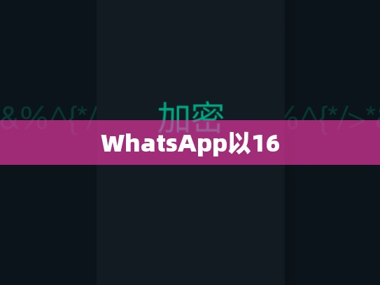 WhatsApp以16