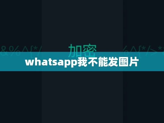 whatsapp我不能发图片