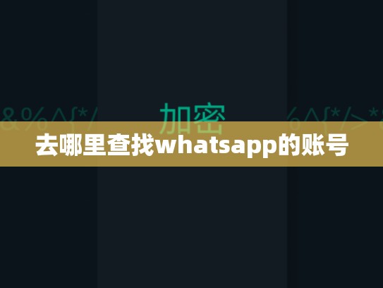去哪里查找whatsapp的账号