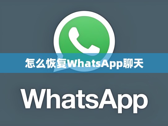 怎么恢复WhatsApp聊天