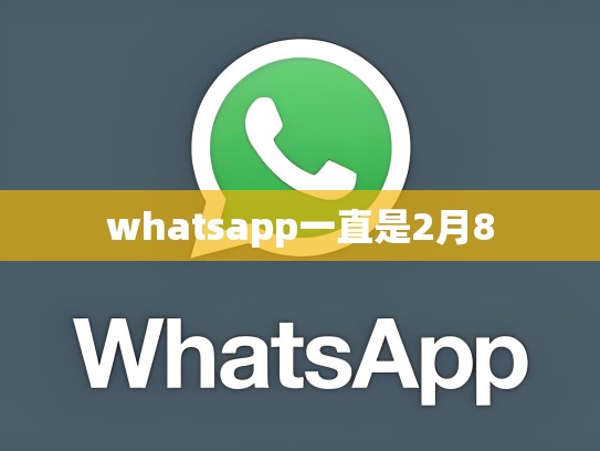 whatsapp一直是2月8