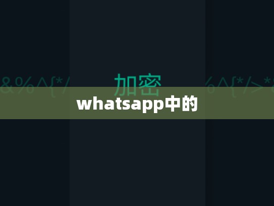 whatsapp中的