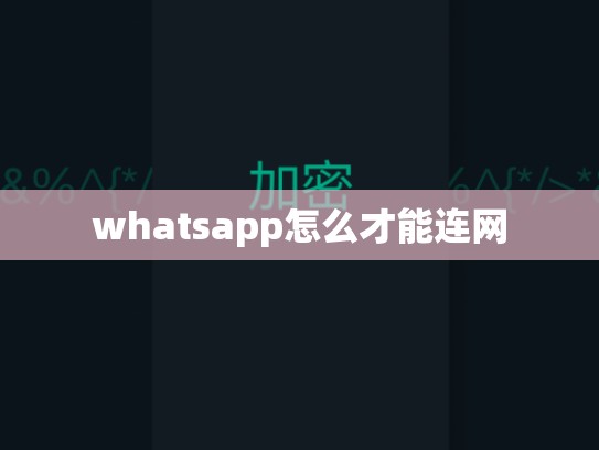 whatsapp怎么才能连网