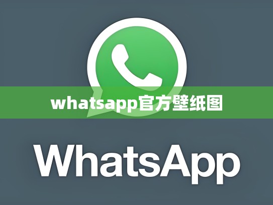 whatsapp官方壁纸图