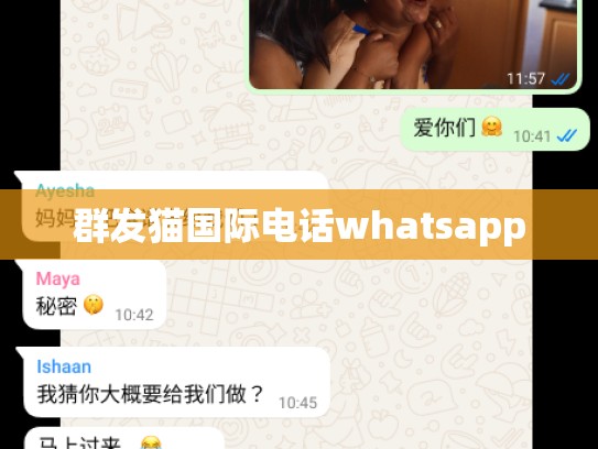 群发猫国际电话whatsapp