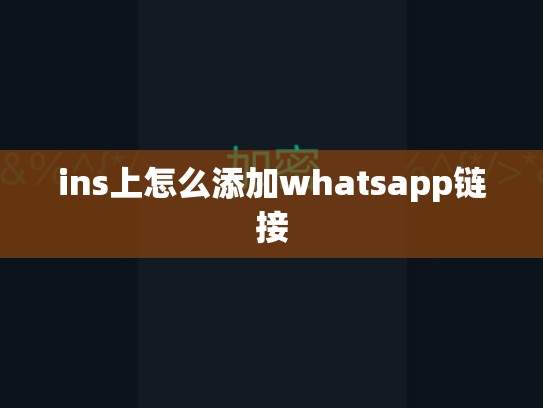 ins上怎么添加whatsapp链接