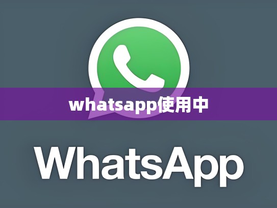 whatsapp使用中