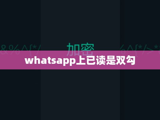 whatsapp上已读是双勾