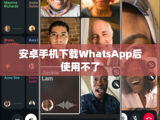 安卓手机下载WhatsApp后使用不了