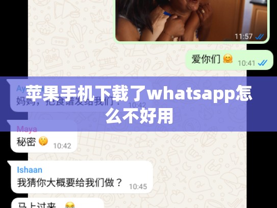苹果手机下载了whatsapp怎么不好用