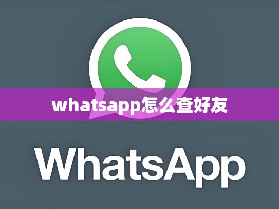whatsapp怎么查好友