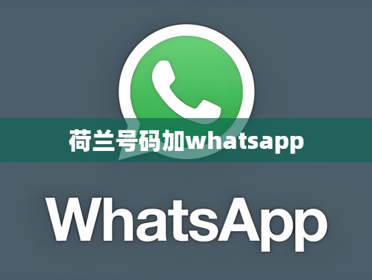 荷兰号码加whatsapp