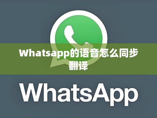 Whatsapp的语音怎么同步翻译