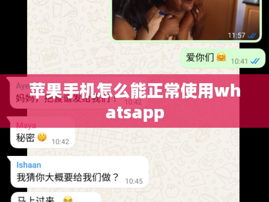 苹果手机怎么能正常使用whatsapp