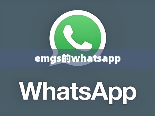 emgs的whatsapp
