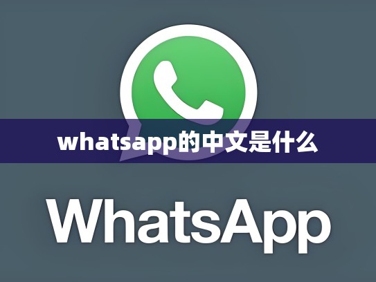 whatsapp的中文是什么