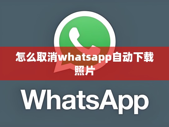 怎么取消whatsapp自动下载照片