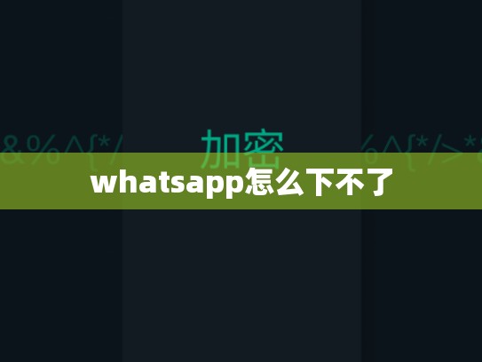 whatsapp怎么下不了