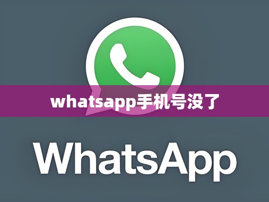 whatsapp手机号没了