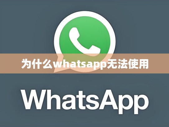 为什么whatsapp无法使用