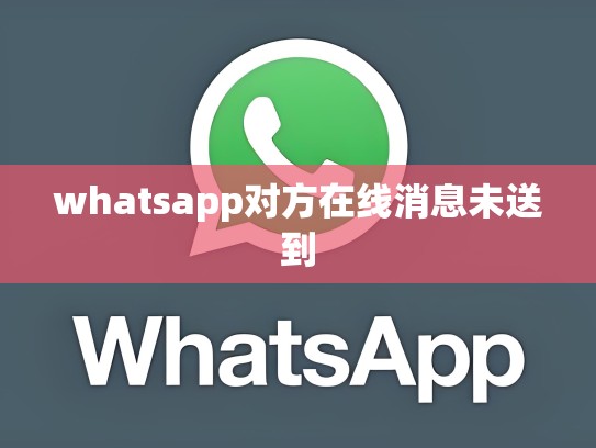 whatsapp对方在线消息未送到