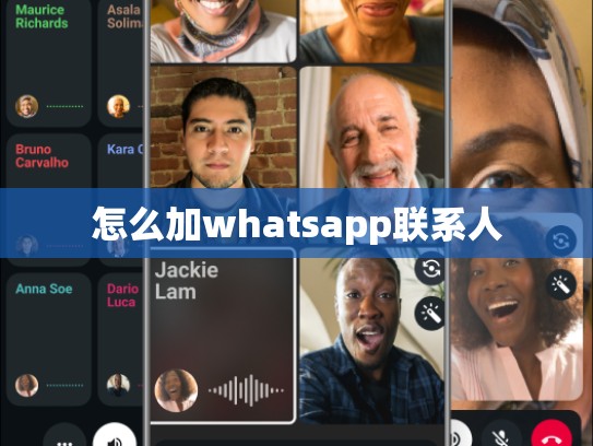 怎么加whatsapp联系人