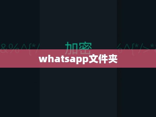 whatsapp文件夹