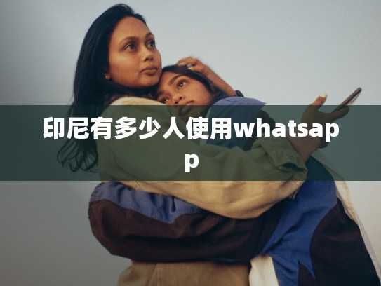 印尼有多少人使用whatsapp
