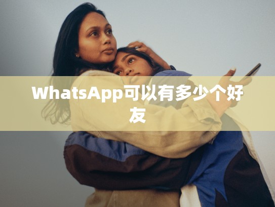 WhatsApp可以有多少个好友