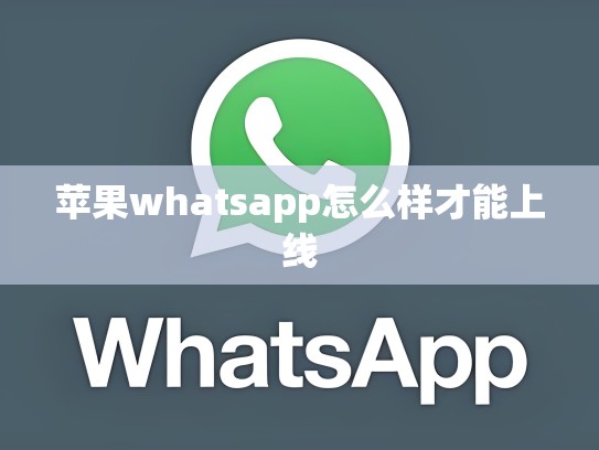 苹果whatsapp怎么样才能上线