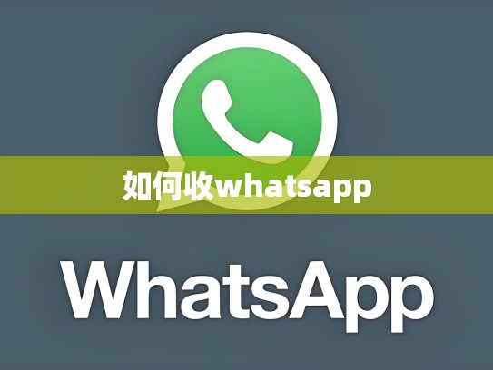 如何收whatsapp