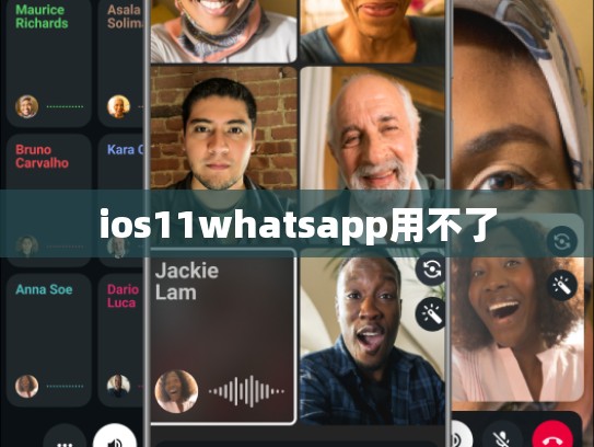 ios11whatsapp用不了