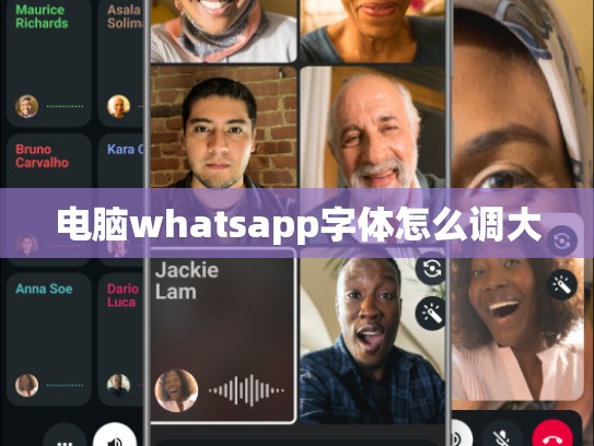 电脑whatsapp字体怎么调大