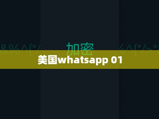 美国whatsapp 01