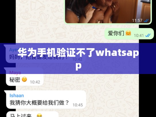 华为手机验证不了whatsapp
