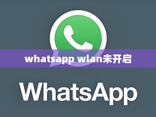 whatsapp wlan未开启