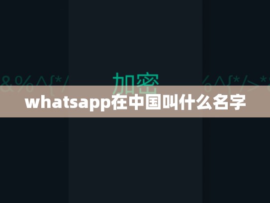 whatsapp在中国叫什么名字
