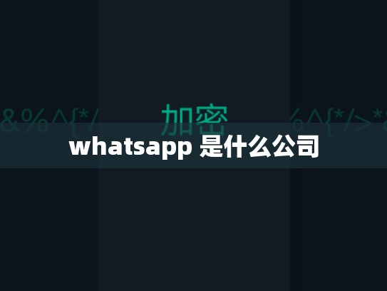 whatsapp 是什么公司