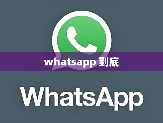 whatsapp 到底