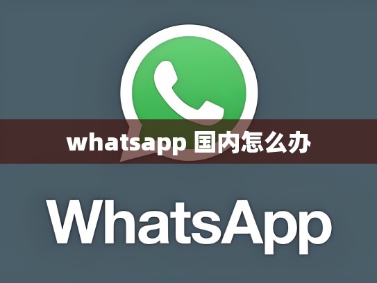 whatsapp 国内怎么办