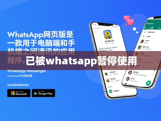 已被whatsapp暂停使用