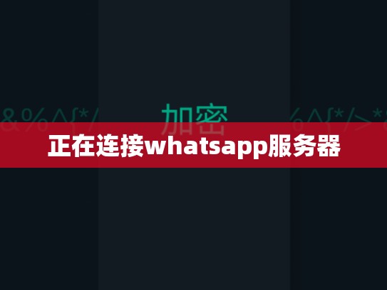 正在连接whatsapp服务器