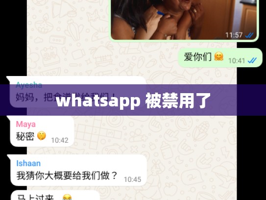 whatsapp 被禁用了