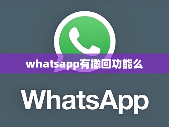 whatsapp有撤回功能么