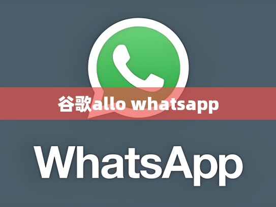 谷歌allo whatsapp