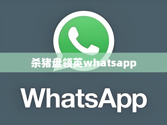 杀猪盘领英whatsapp