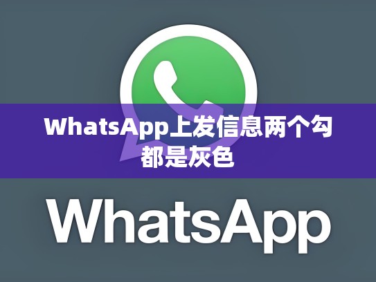 WhatsApp上发信息两个勾都是灰色
