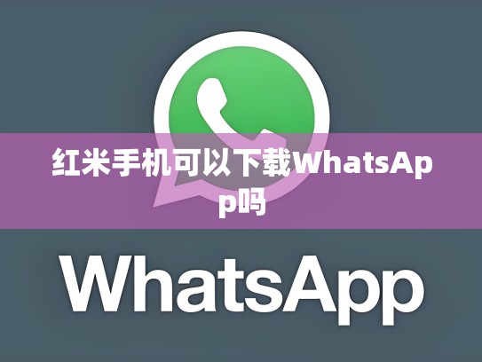 红米手机可以下载WhatsApp吗