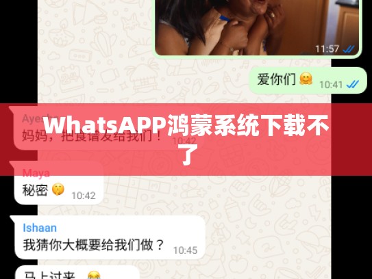 WhatsAPP鸿蒙系统下载不了