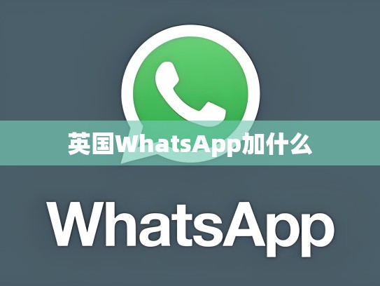 英国WhatsApp加什么